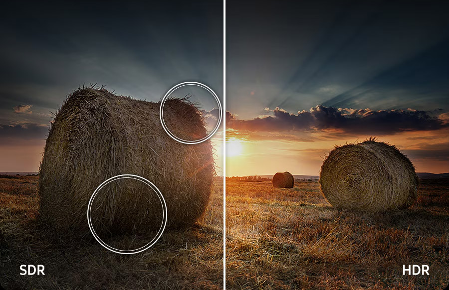 Smart Tivi QLED Samsung 4K 65 inch QA65Q6FAAKXXV