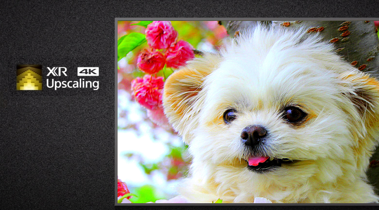 Android Tivi OLED Sony 4K 55 inch XR-55A90J