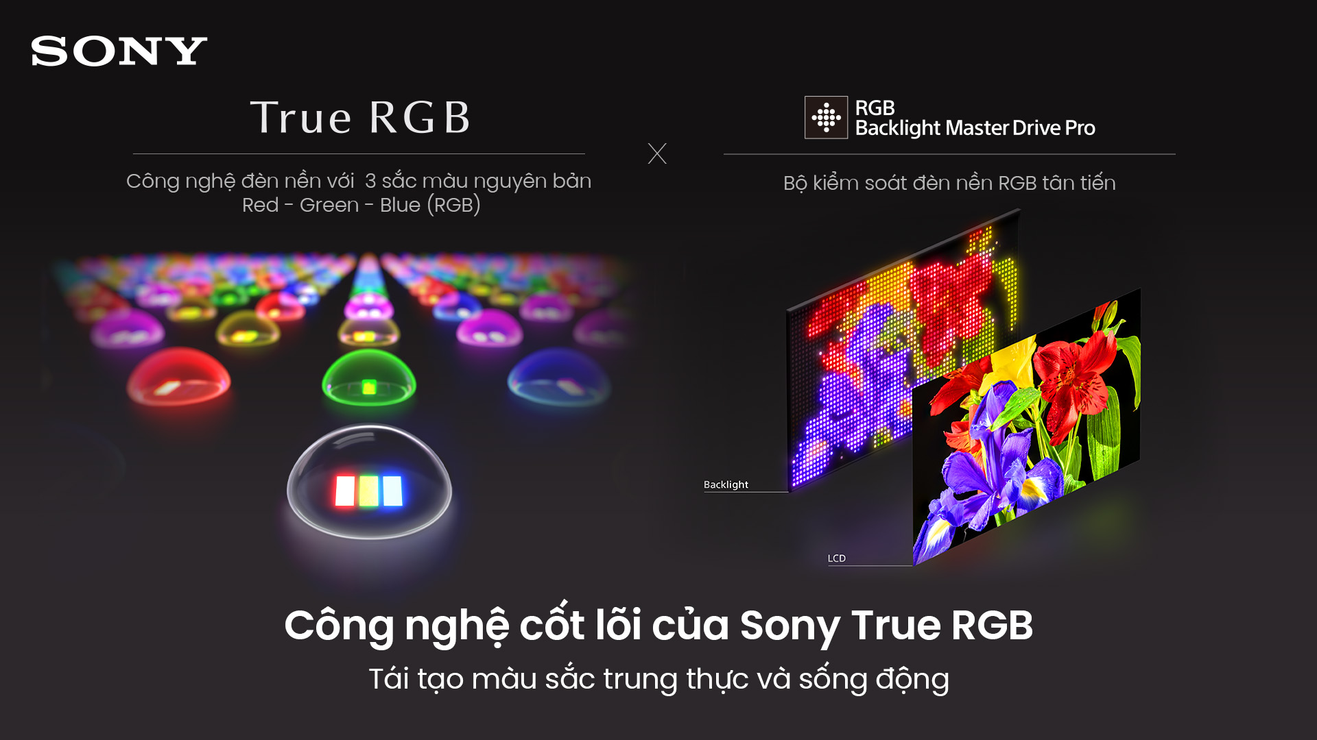 Tivi Sony Google True RGB BRAVIA 7 II 75 Inch K-75XR70M2