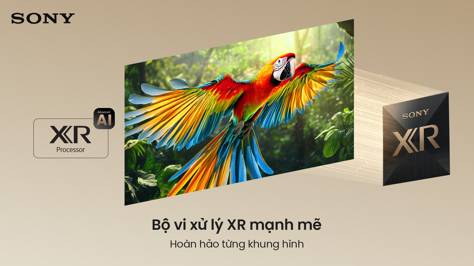 Tivi Sony Google True RGB BRAVIA 7 II 75 Inch K-75XR70M2