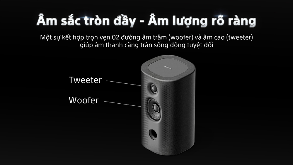 Loa Sau Không Dây Sony BRAVIA Theatre Rear 8 SA-RS8//Z SP1