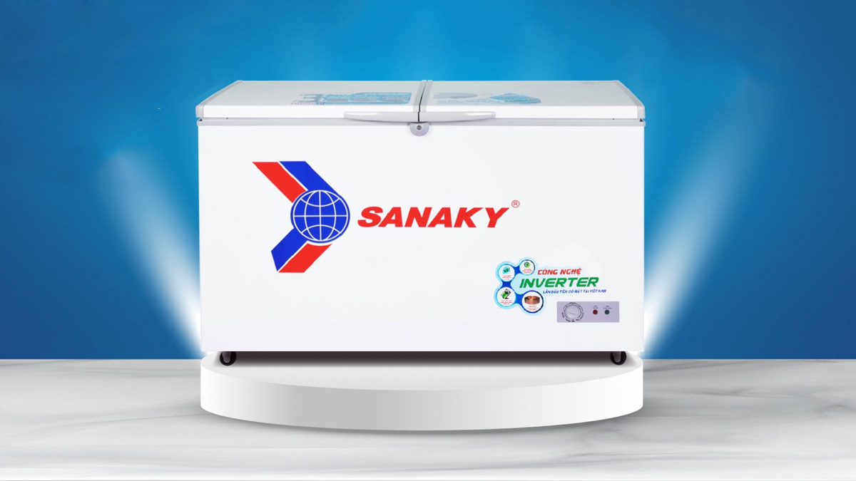 Tủ Đông Sanaky Inverter 270 Lít VH3699A3