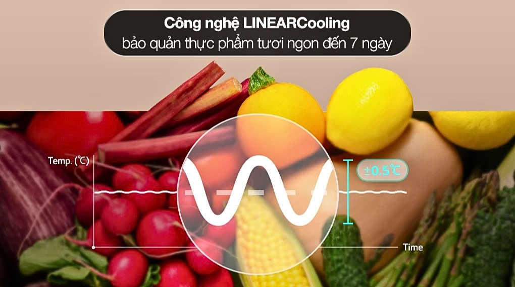 Tủ lạnh LG Inverter 335 lít LBB33BLGA