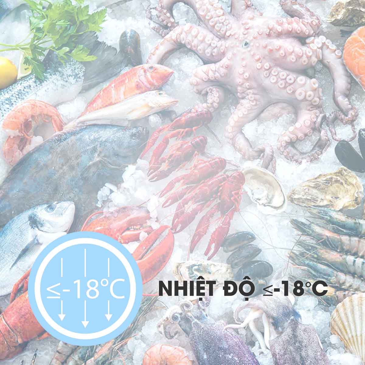 Tủ Đông Sanaky Inverter 270 Lít VH3699A3