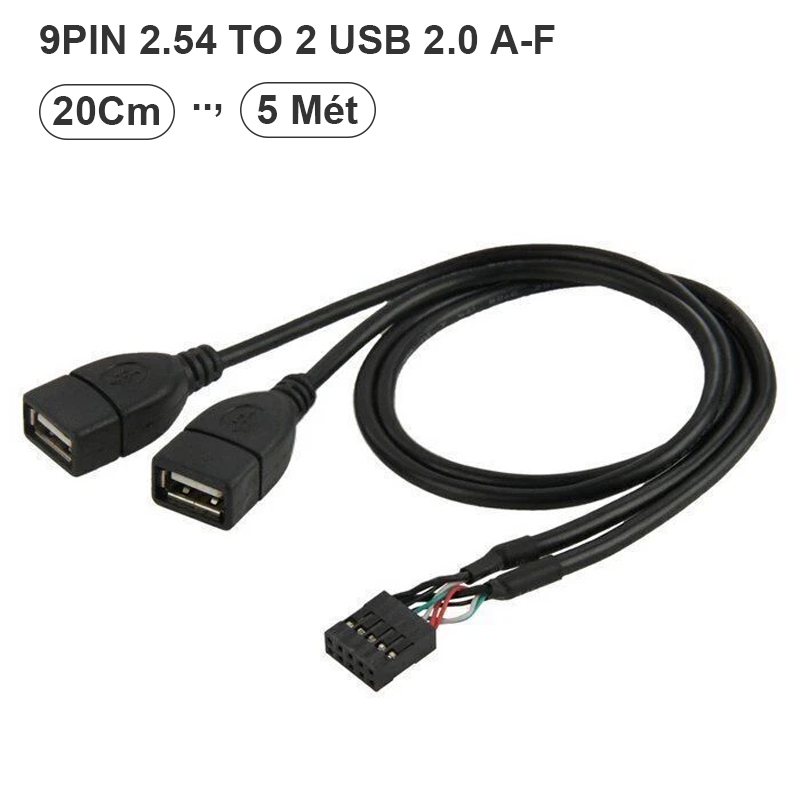 Dây nối USB 9 chân trên main máy tính sang 2 đầu USB cái