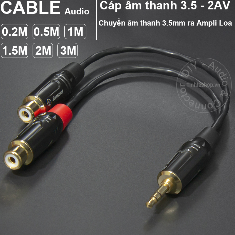 3.5mm to 2 RCA female cable