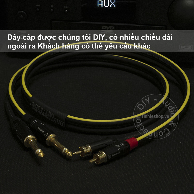 6.35mm mono to rca cable