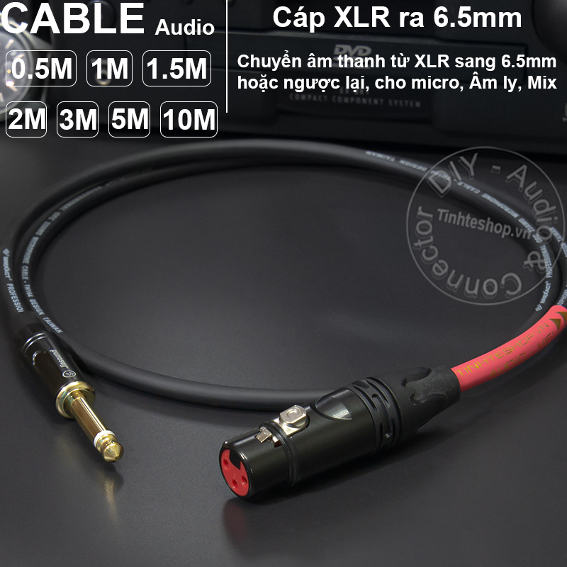 XLR female to 6.5mm