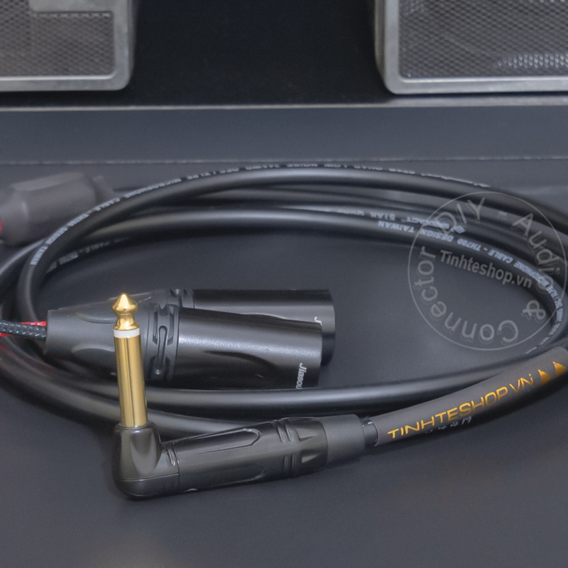 6.35mm mono to 2 XLR male audio cable