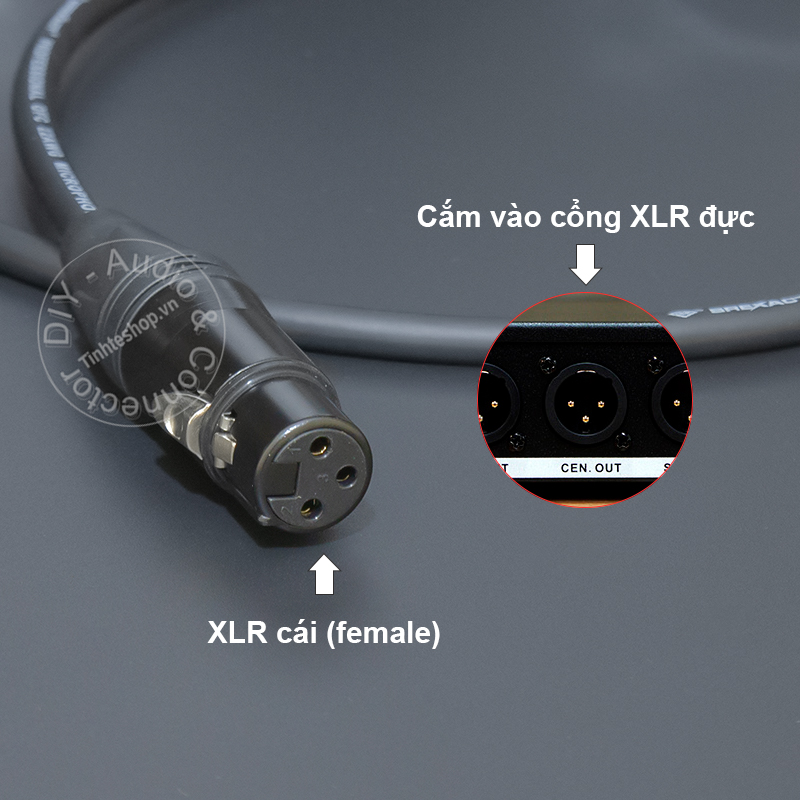 Recording cable from Equalizer to Laptop smartphone