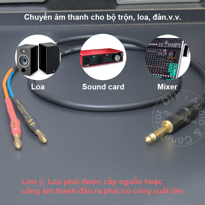 6.5mm mono to banana plug cable