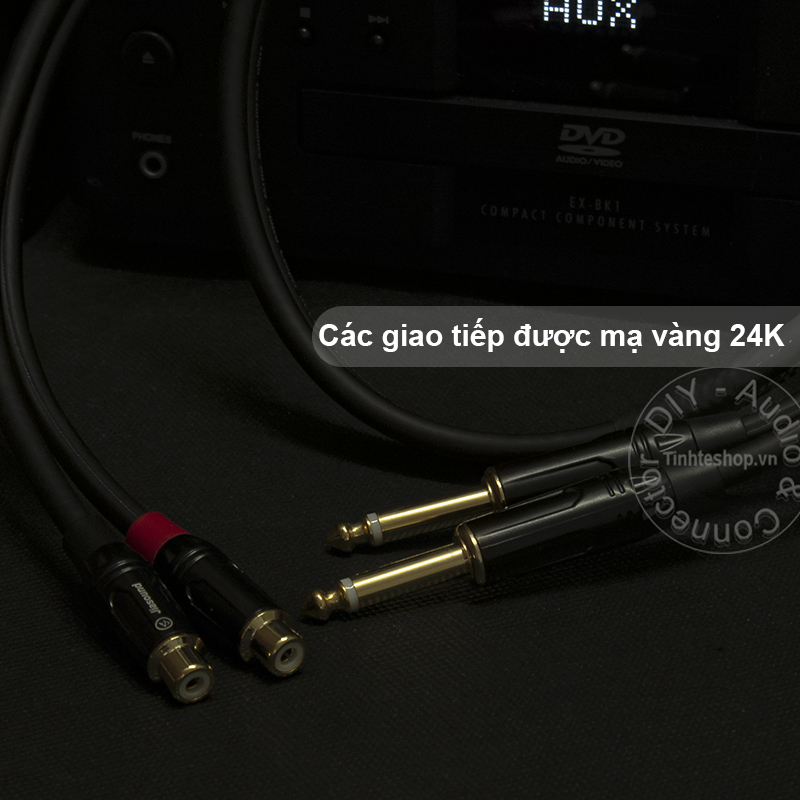 dây chuyển 6,5mm ra rca