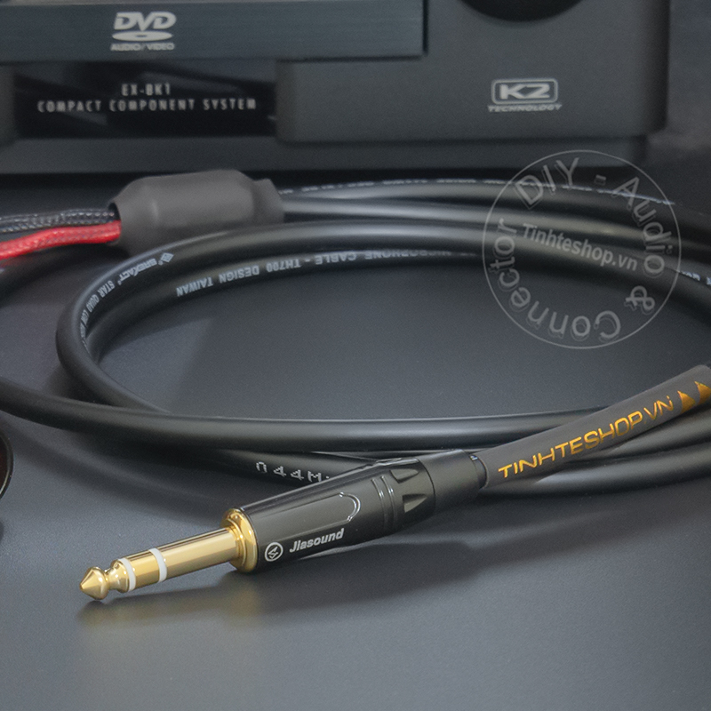 6.5mm TRS audio cable to 2 female canons