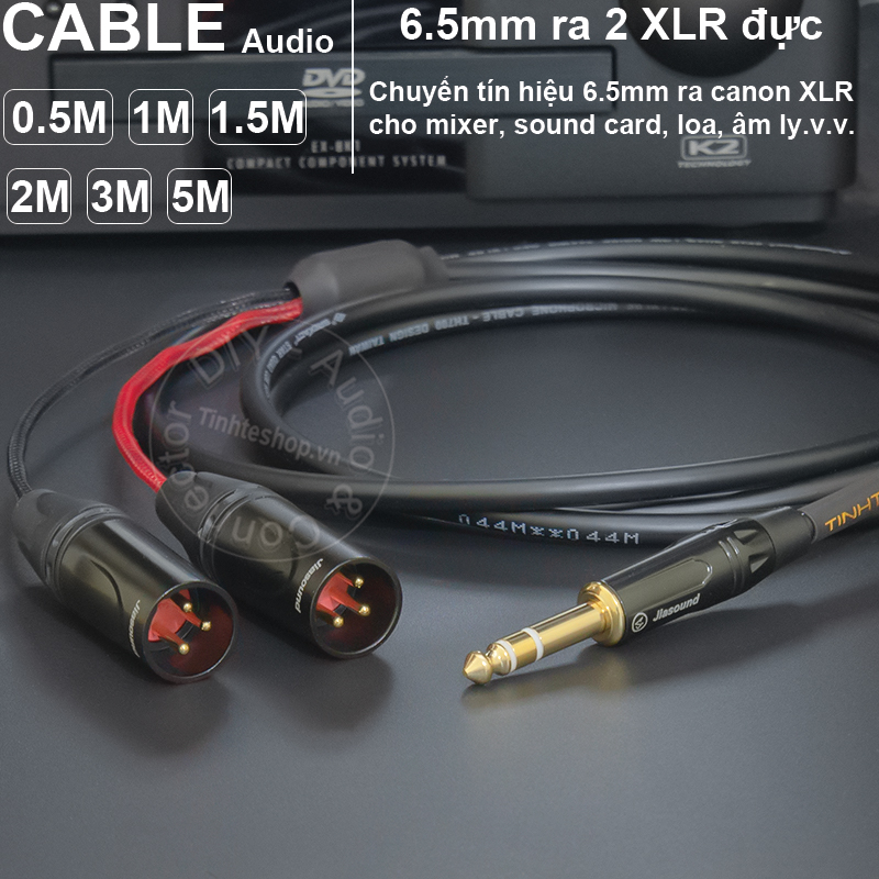 6.5mm TRS to 2 XLR male cable