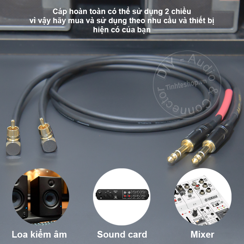 RCA audio cable is perpendicular to 1/4