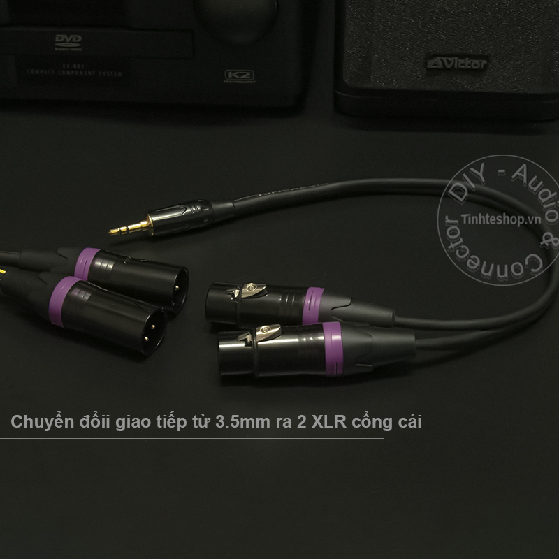 audio cable 3.5mm to 2 xlr female