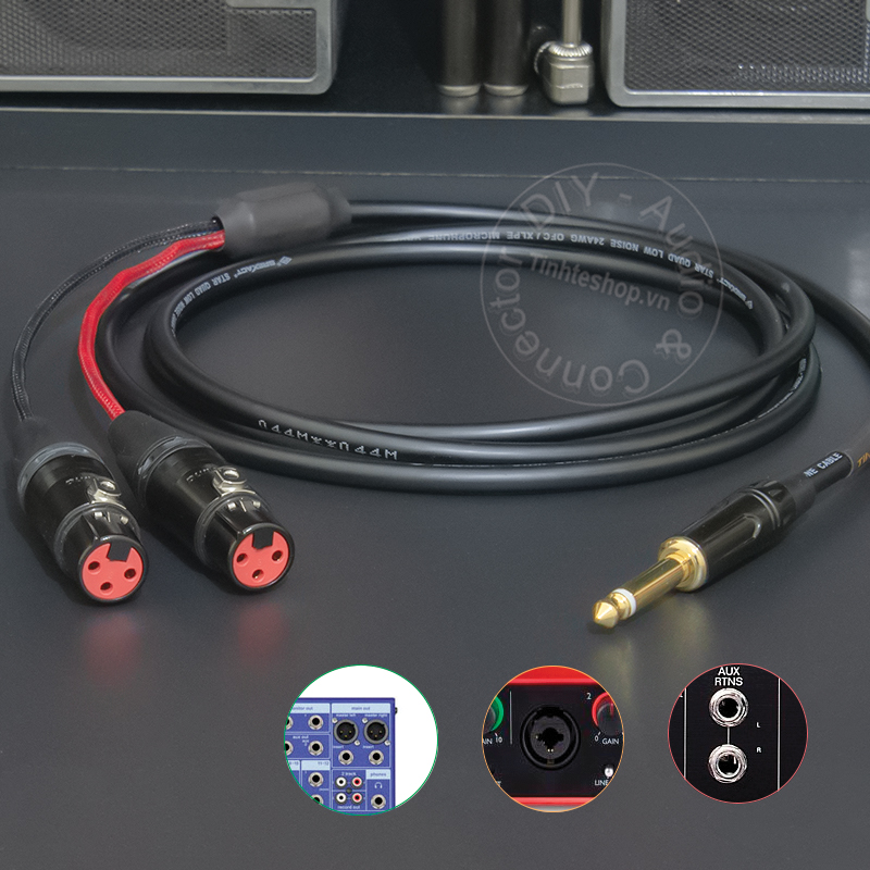6.5mm mono to 2XLR female audio cable