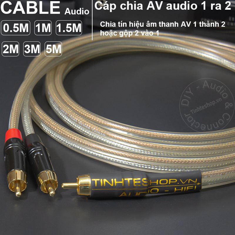 RCA male to 2 male cable