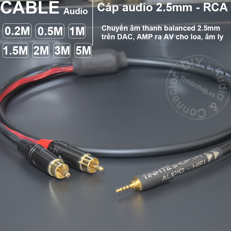 2.5 to 2 RCA balanced audio cable for DAC AMP Speaker Amplifier
