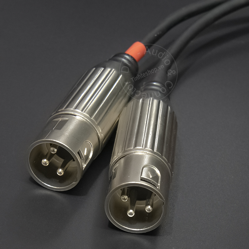 XLR male to 2 XLR male cable