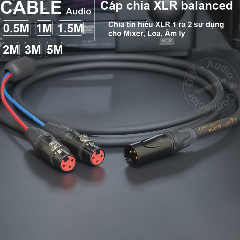 Male to 2 female XLR port splitter cable