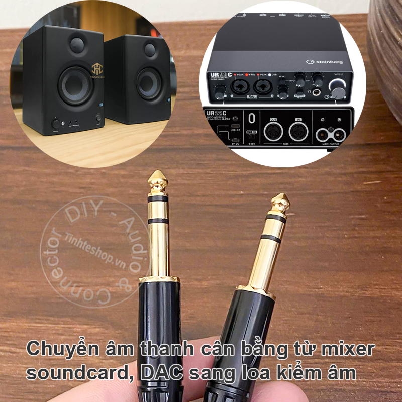Cặp dây 6 ly stereo TRS cho loa kiểm âm