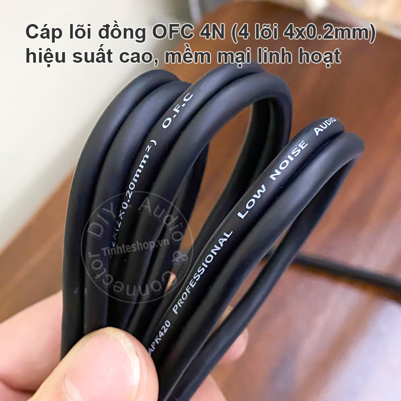 Cặp dây 6 ly stereo TRS cho loa kiểm âm