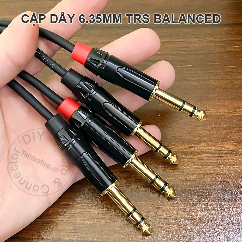 Cặp dây 6 ly stereo TRS cho loa kiểm âm