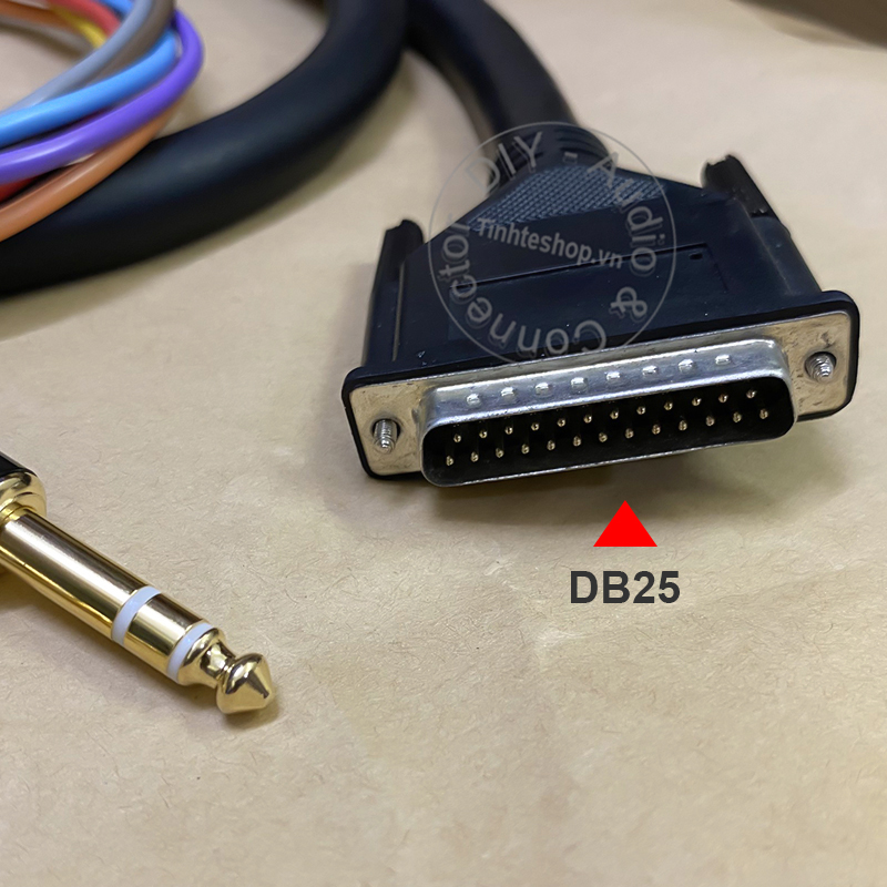D-Sub 25pin to 6.35mm cable