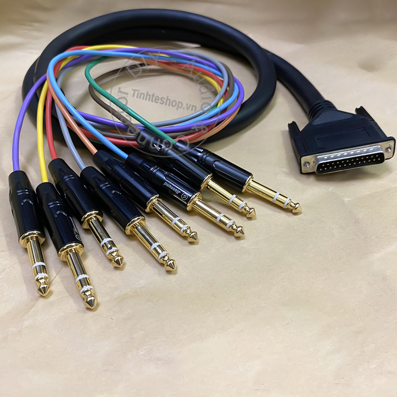 D-Sub 25pin to 6.35mm cable