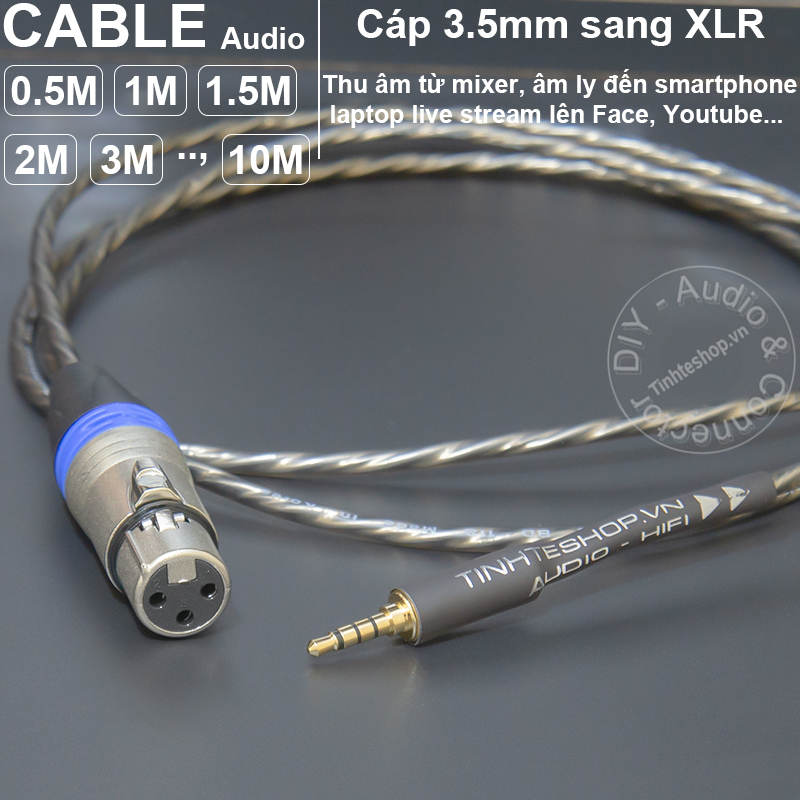 3.5mm XLR cable record audio from Equalizer to Smartphone Laptop