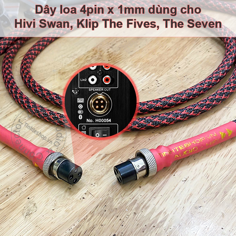 Cáp cắm 2 loa Hivi Swan d300