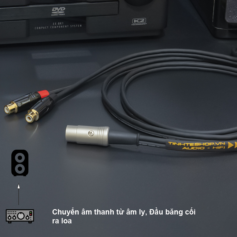 Dây âm thanh từ MIDI 5 pin ra 2 AV