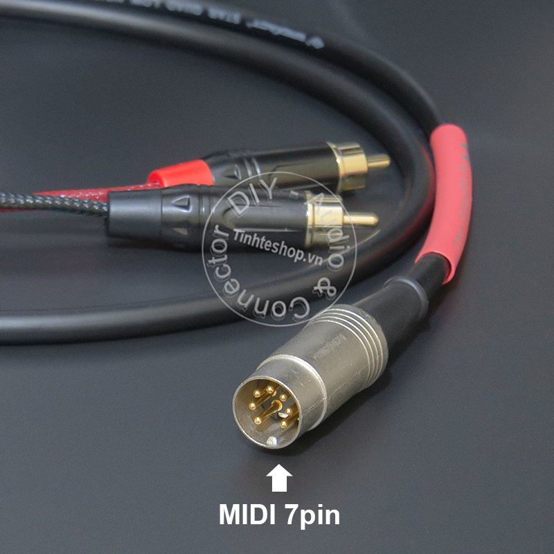 7-pin midi to 2 RCA audio cable