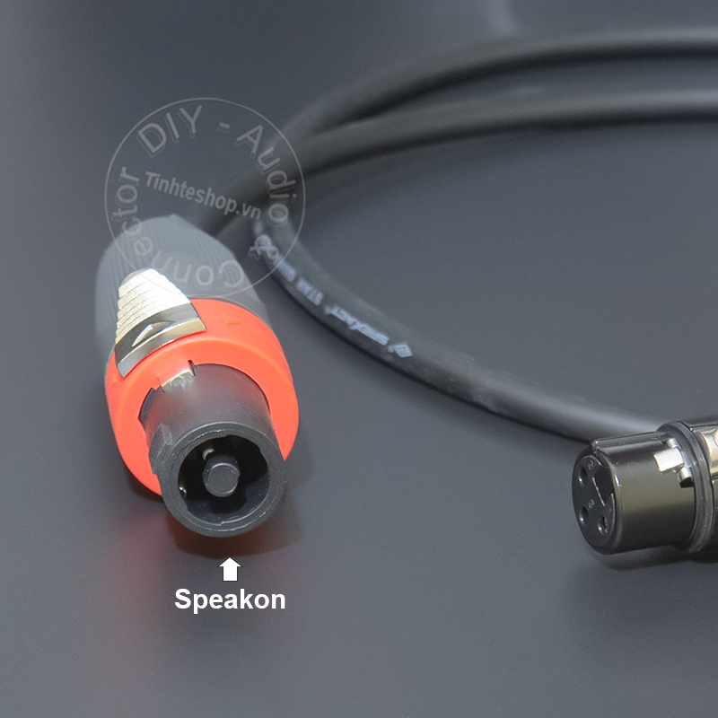 Speakon to XLR male speaker cable