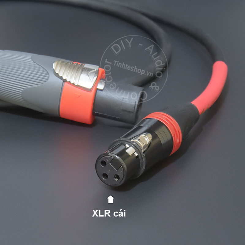 Speakon speaker cable to female XLR