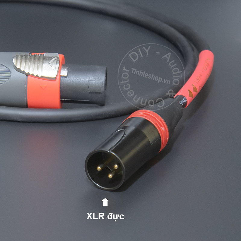 Speakon to XLR male speaker cable