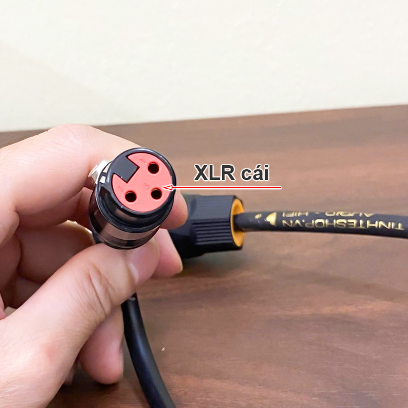 Dây loa cắm từ Đẩy vào Sub Bose 403