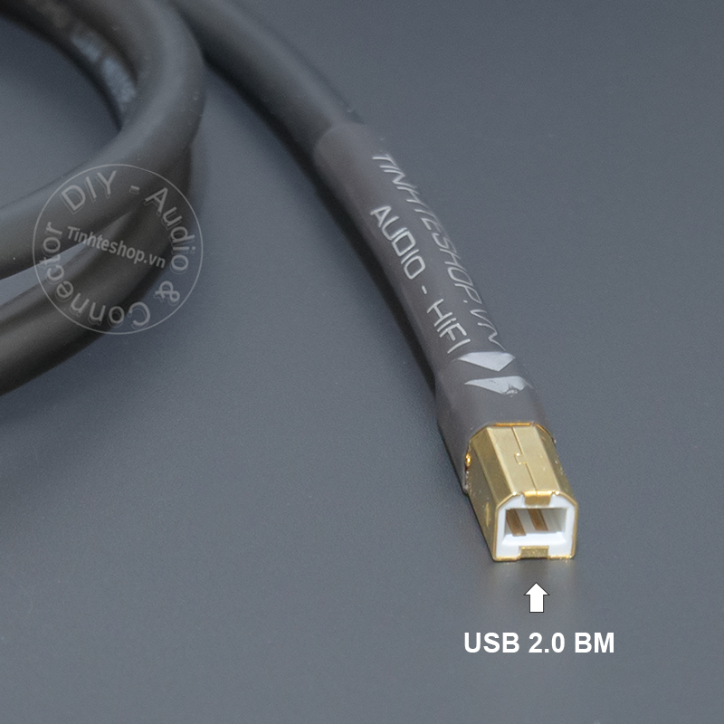 USB cable AM ​​- BM for digital audio codec