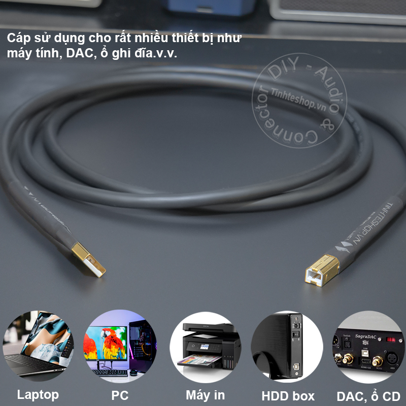 USB cable AM ​​- BM for digital audio codec