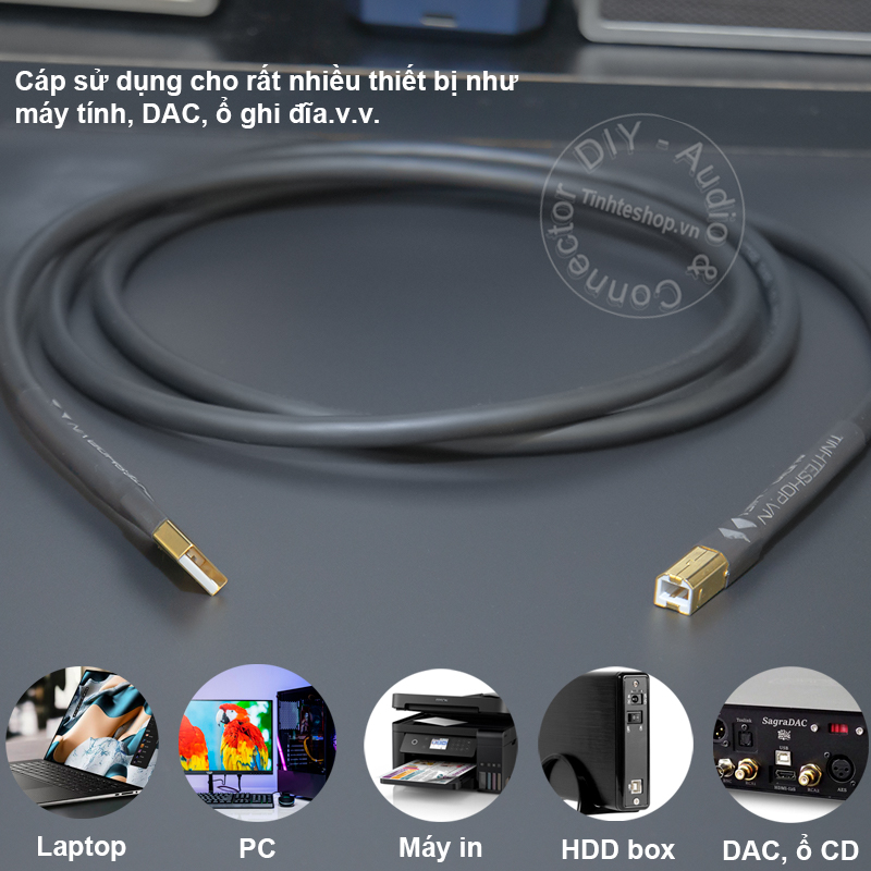 USB cable AM - BM for digital audio codec