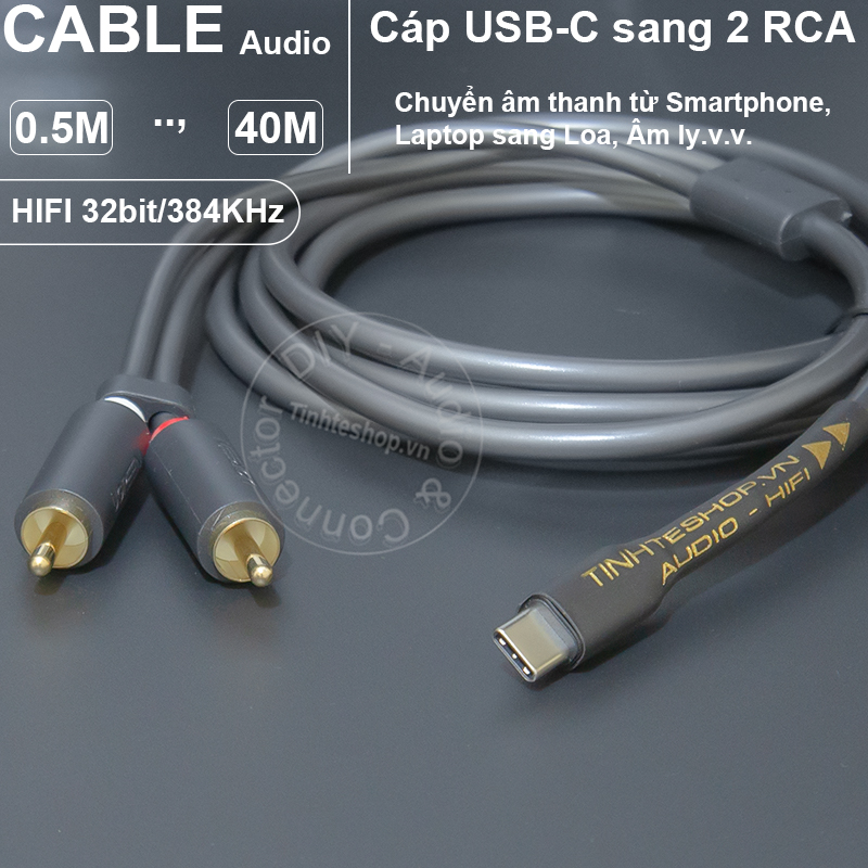 32-bit 384KHz DIY USB Type-C to RCA DAC Converter