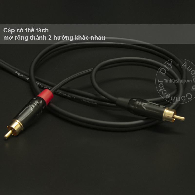 cáp ba lăng xlr đực ra 2 av rca DIY tinhteshop.vn