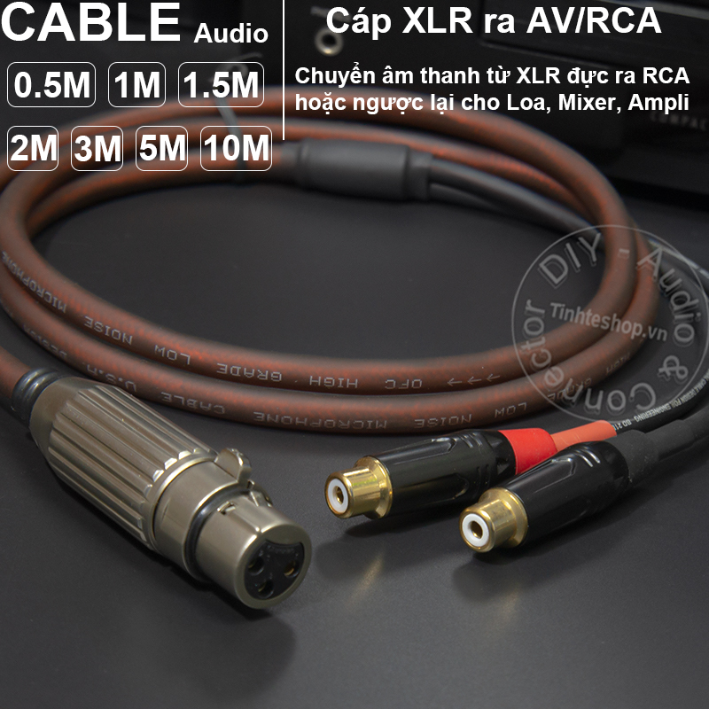 XLR cái sang 2AV cái