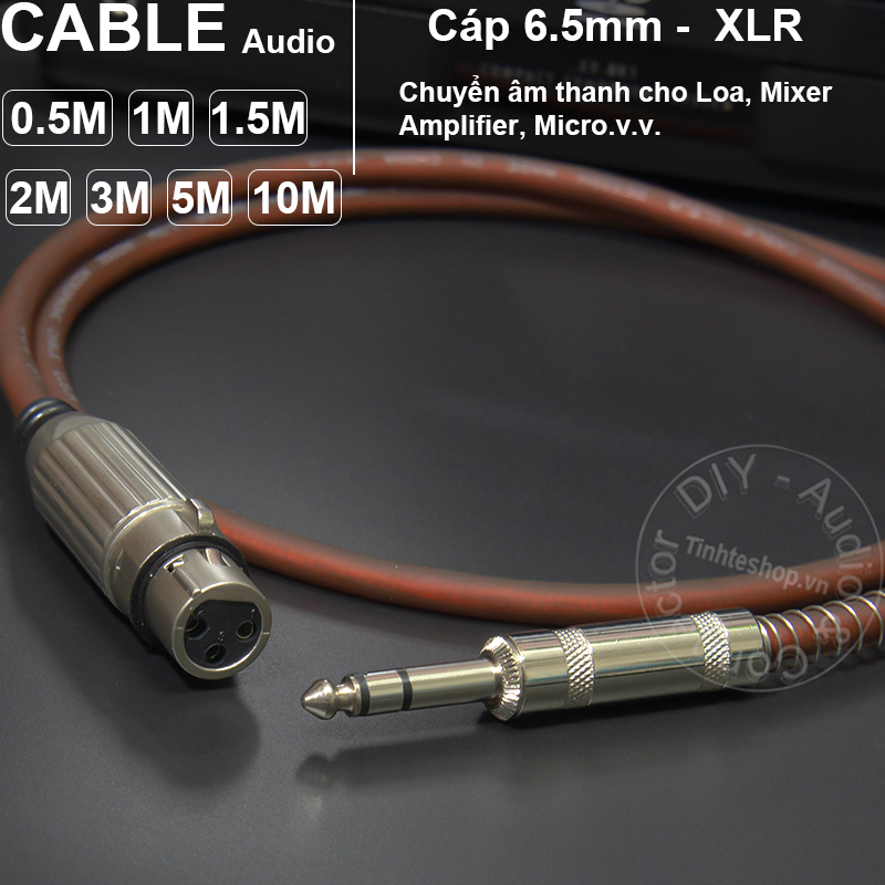 XLR female to 6.35mm stereo cable