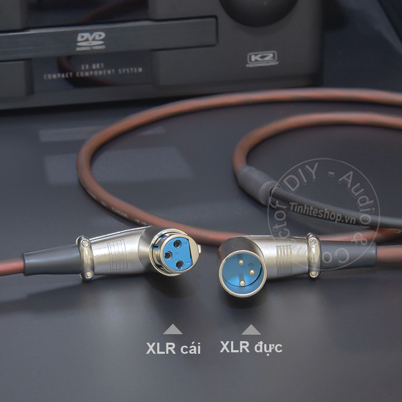 XLR male to 2 RCA cable