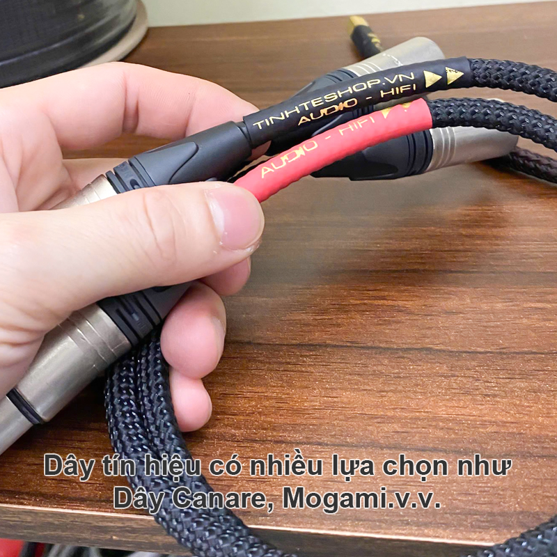 Cáp XLR cho thu âm chuyển nghiệp
