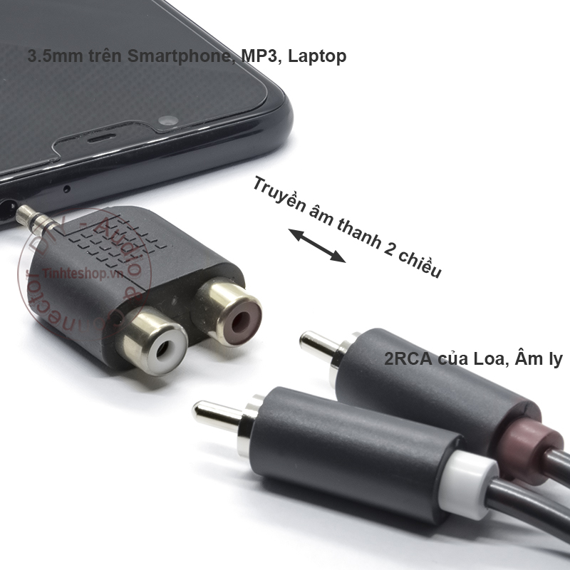 3.5mm male to 2 RCA female adapter