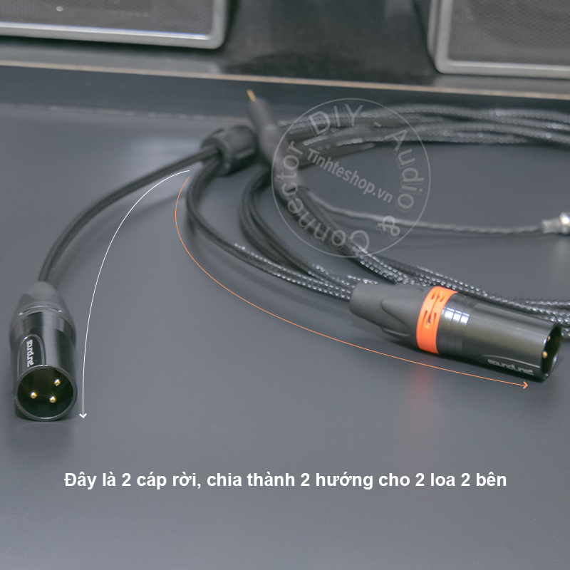 Cáp 2.5mm sang XLR