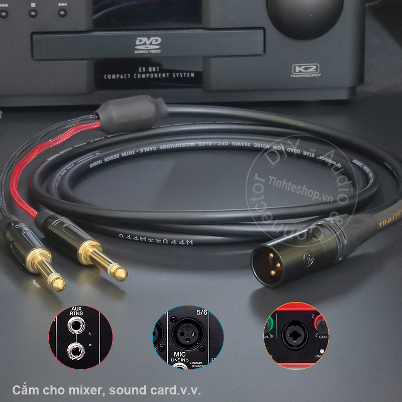 XLR male to 2 6.35mm mono audio cable